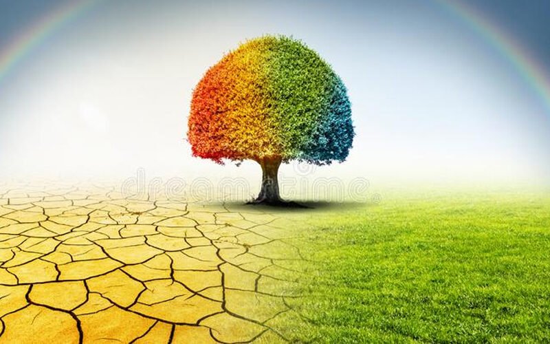 Η κλιματική αλλαγή απειλεί τις καλλιέργειες