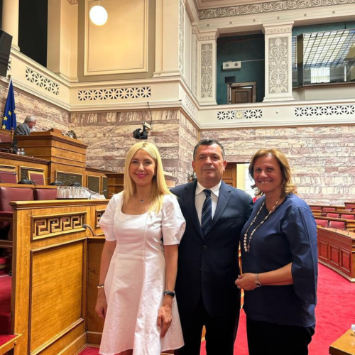 Η Βουλευτής Κορινθίας Μαριλένα Σούκουλη Βιλιάλη στην Επιτροπή Παραγωγής και Εμπορίου & στην Επιτροπή Κοινωνικών Υποθέσεων